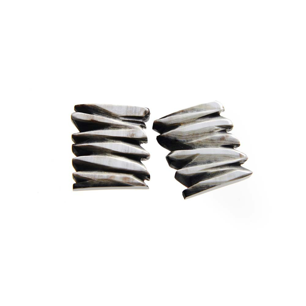 Horn earrings Horn earrings